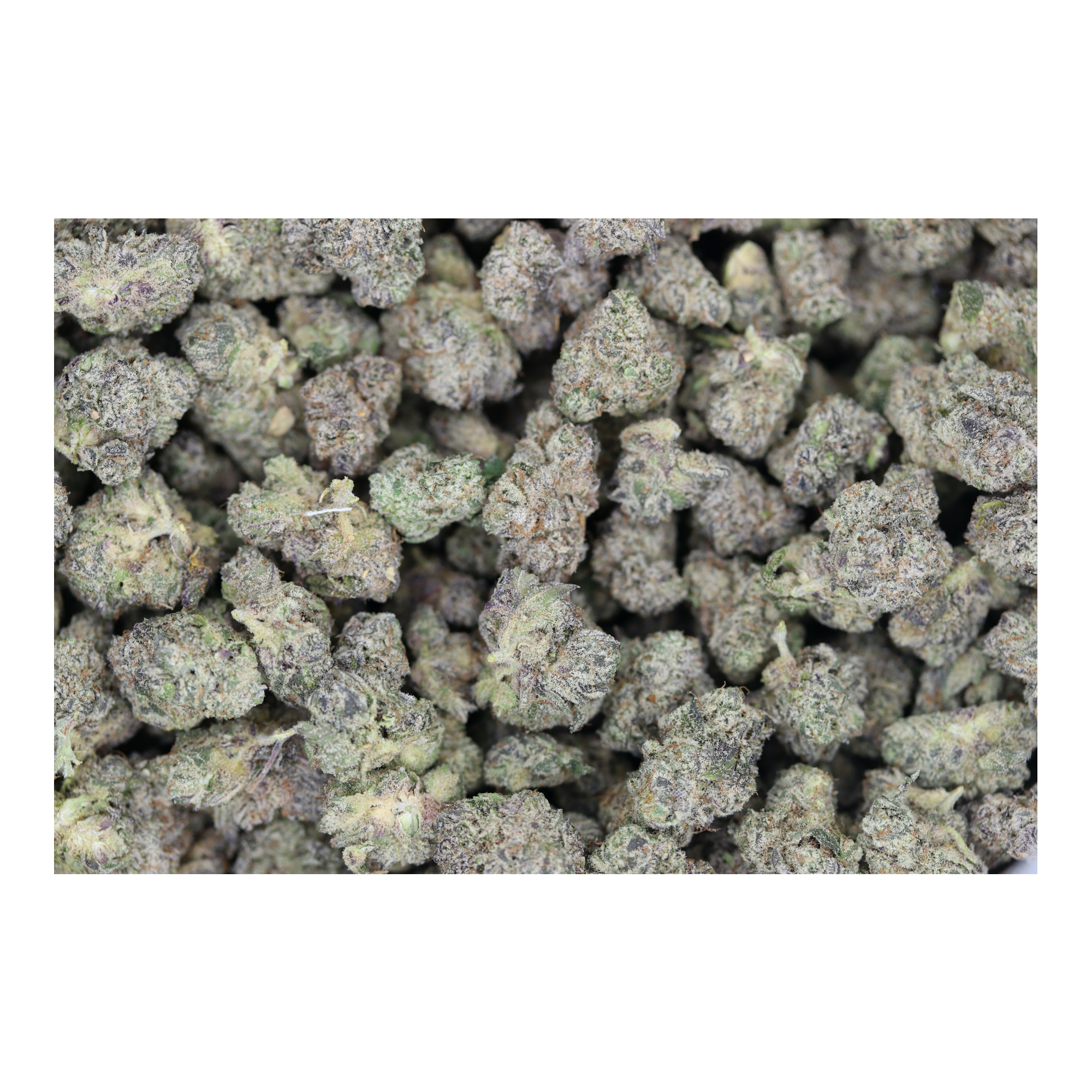 Gas Cookies Smalls (1/2lb) Wholesale Flower Baked Goods Gas Cookies Smalls (1/2lb) Wholesale Flower Baked Goods