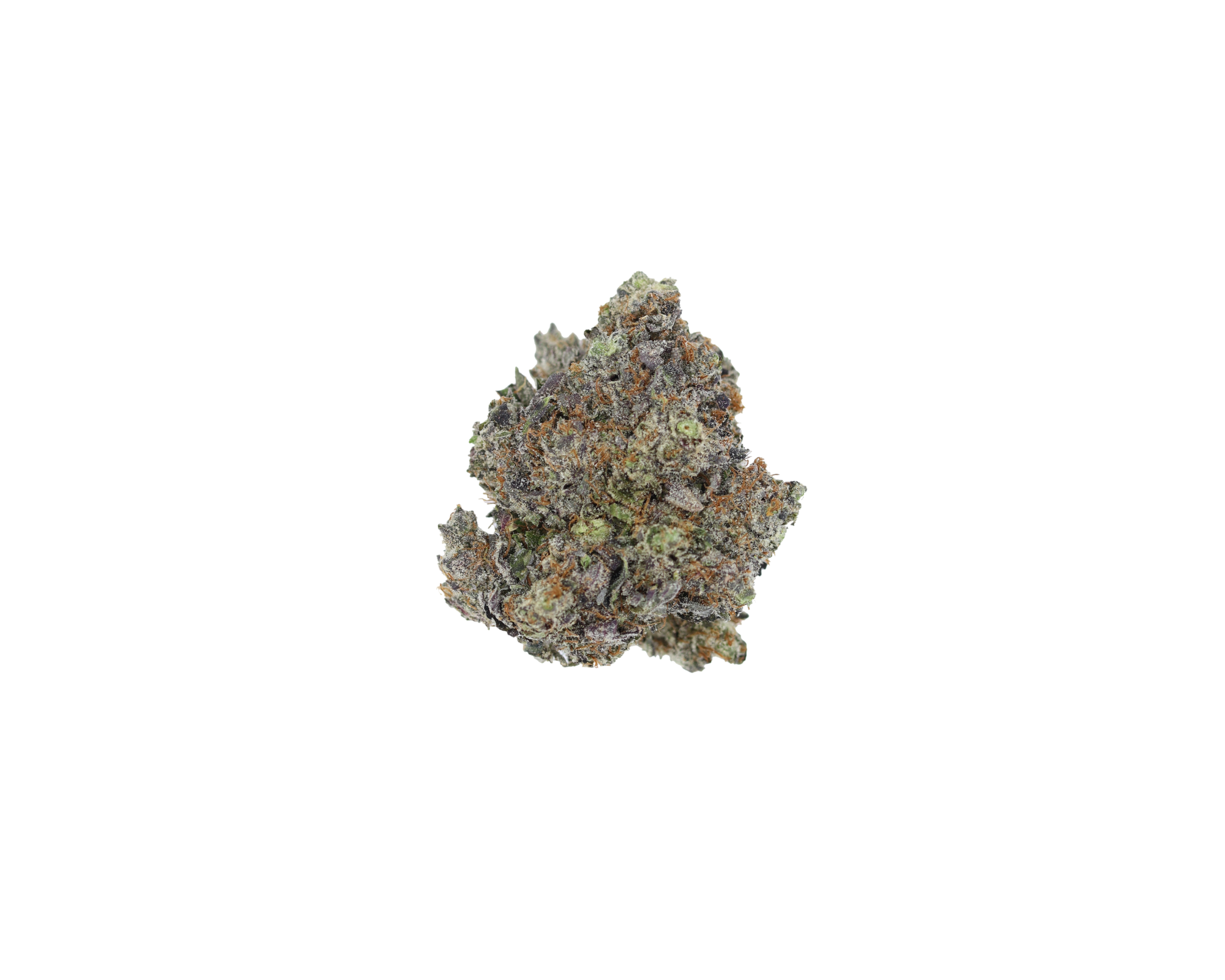 Gas Militia – Black Death All Strains Cannabis Flower Gas Militia – Black Death All Strains Cannabis Flower