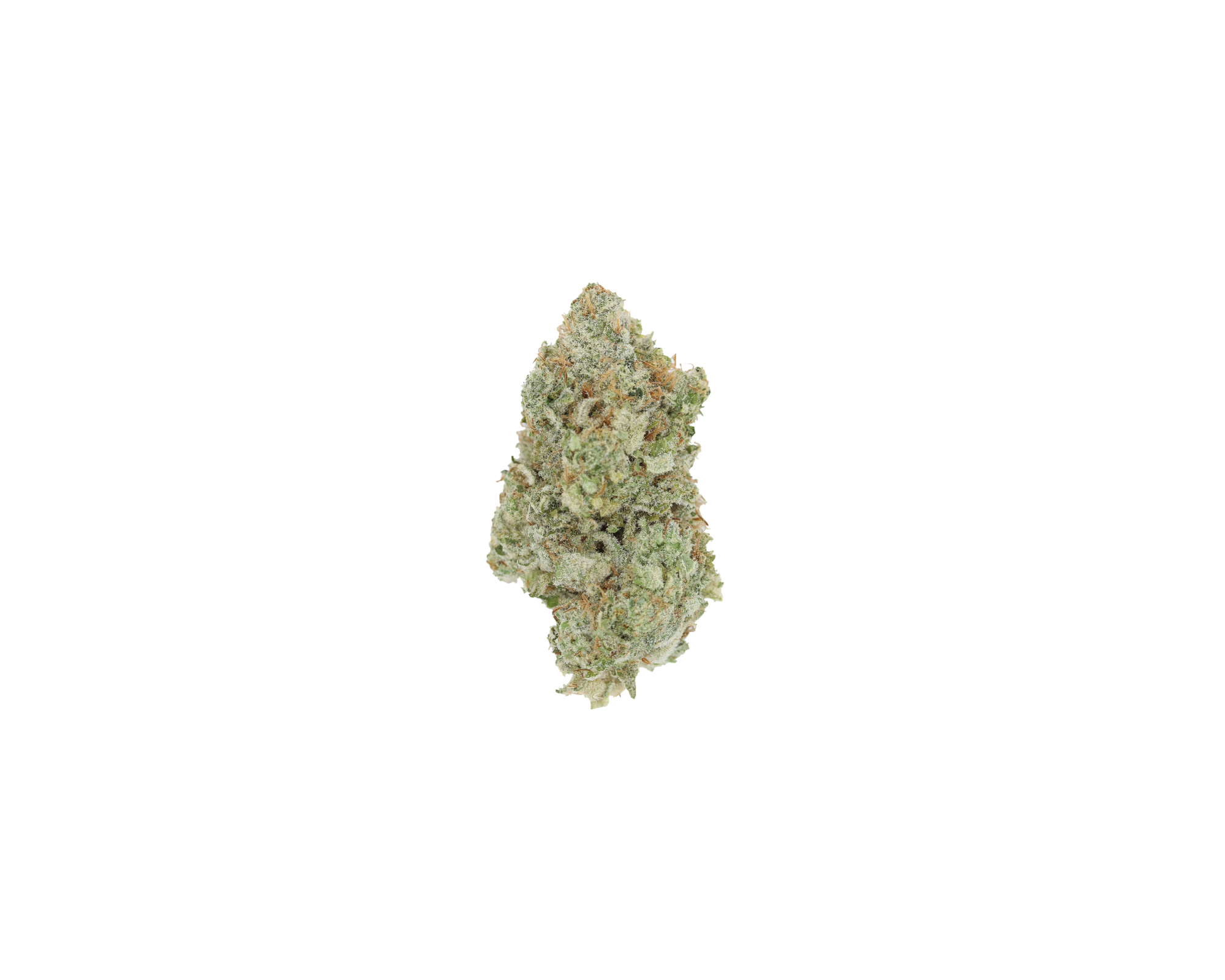 Grease Monkey Hybrid Cannabis Flower Grease Monkey Hybrid Cannabis Flower