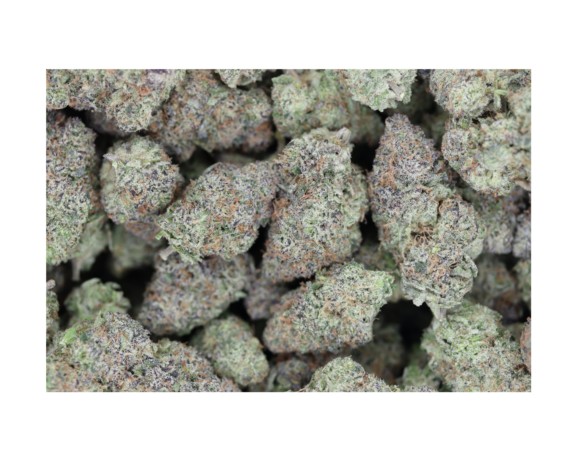 Island Exotics Sundae Driver Hybrid Berry Island Exotics Sundae Driver Hybrid Berry