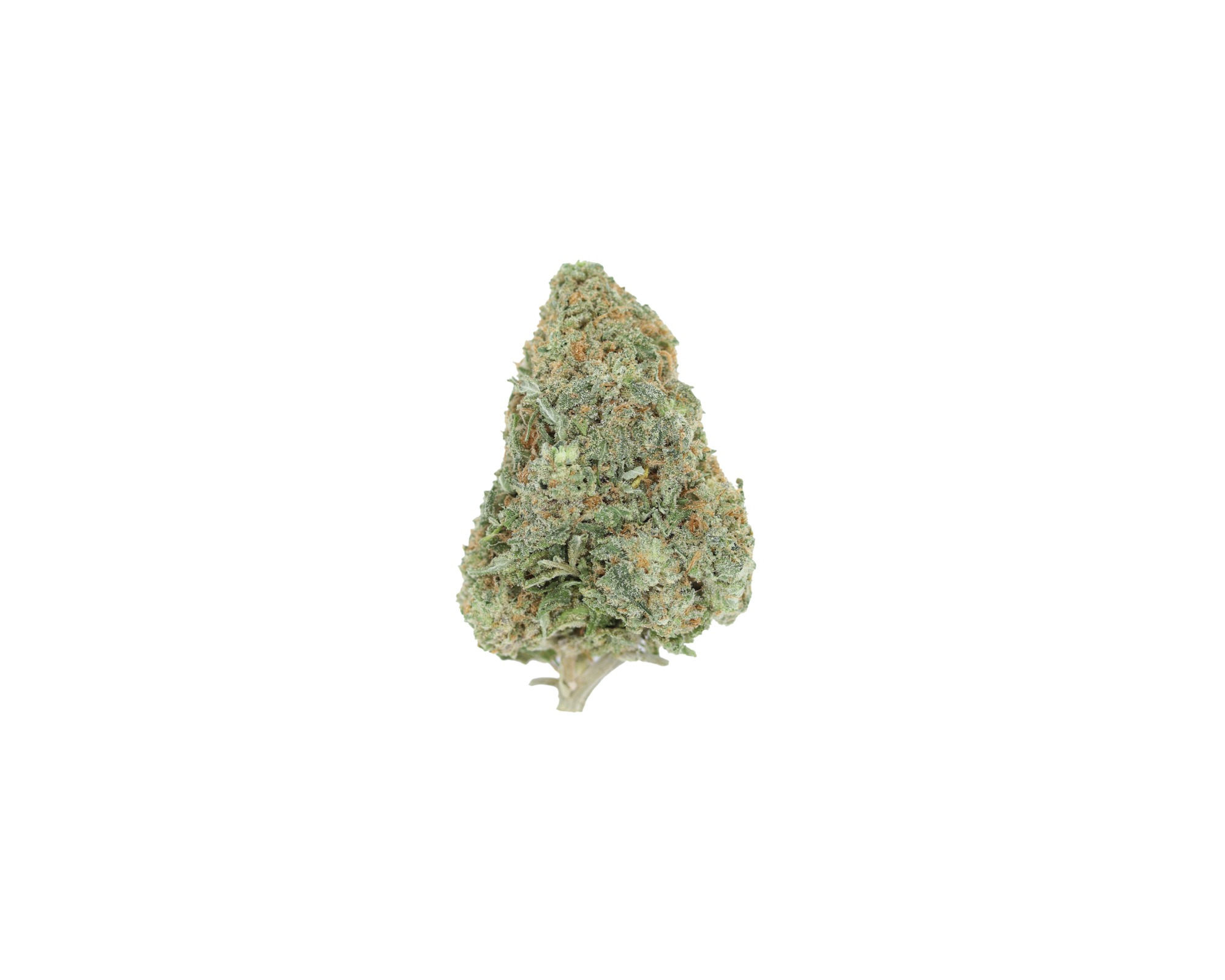 Lemon Sour OG Sativa Cannabis Flower Lemon Sour OG Sativa Cannabis Flower