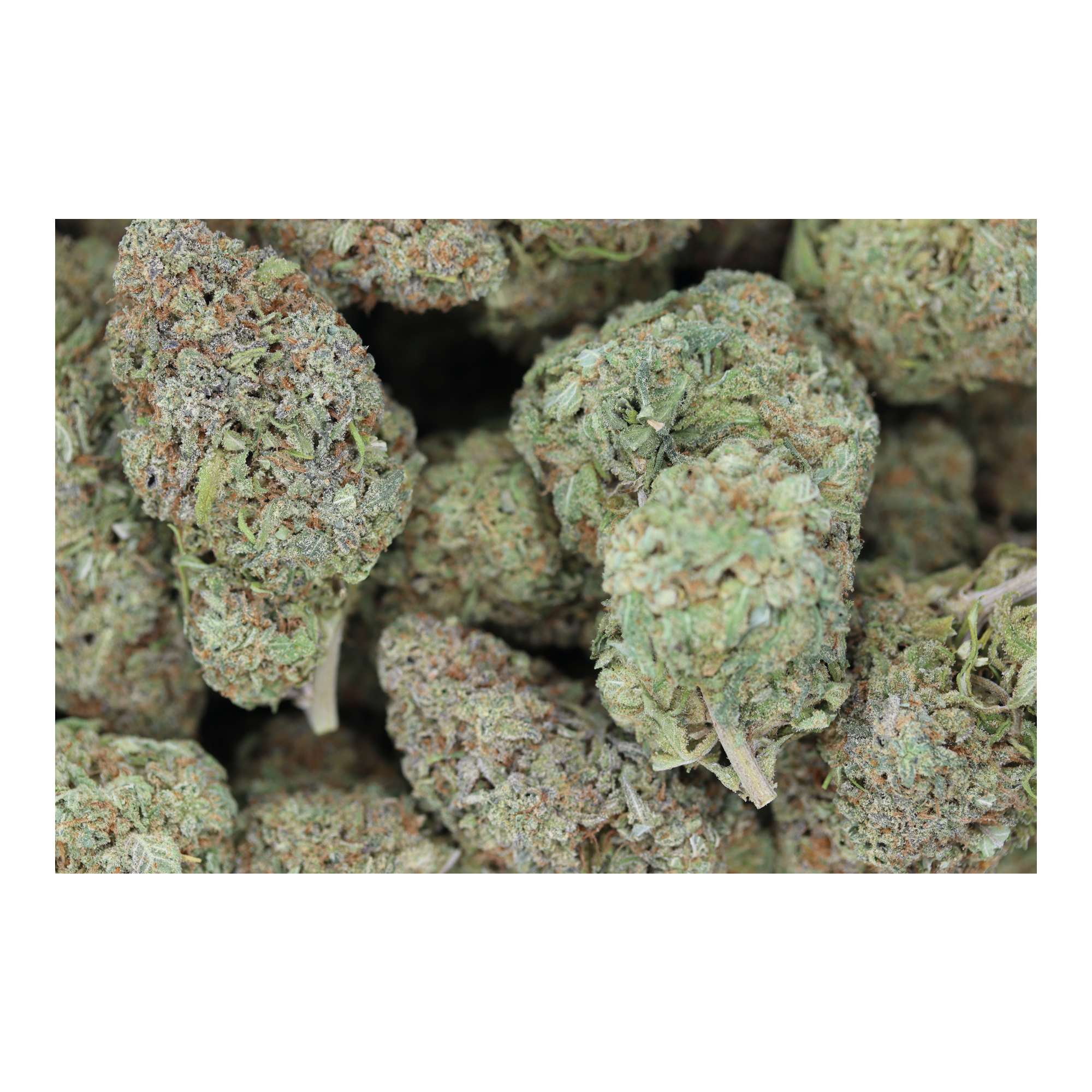 Lemon Sour OG Sativa Cannabis Flower Lemon Sour OG Sativa Cannabis Flower