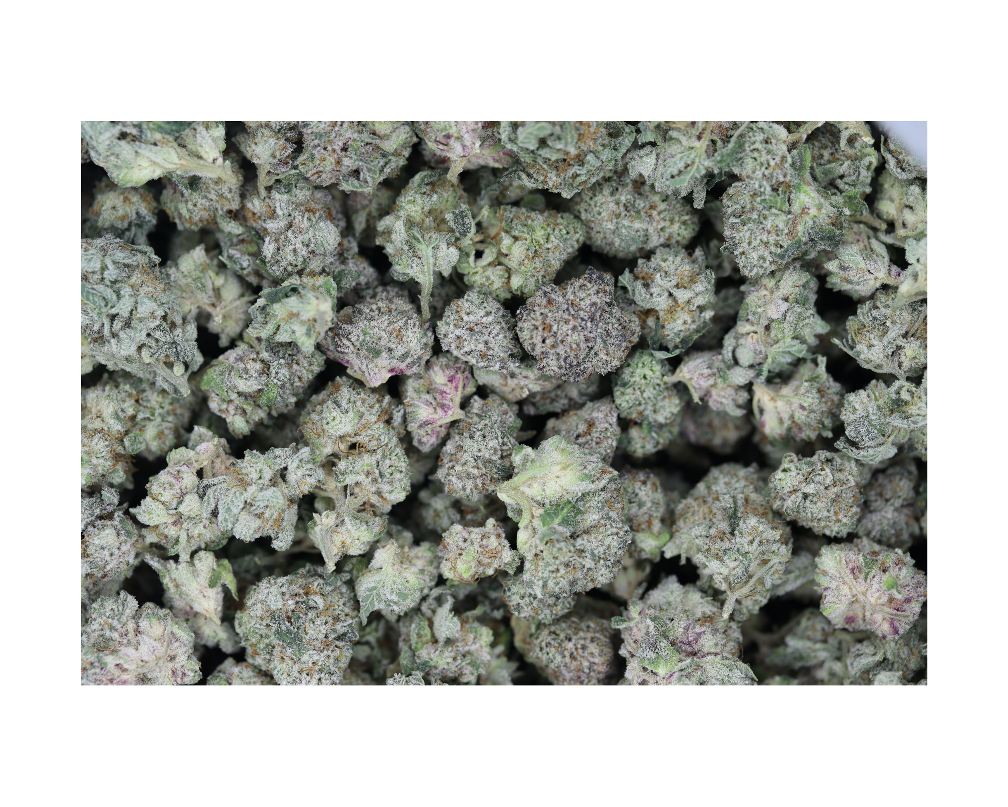 Magic MAC Smalls Hybrid Cannabis Flower Magic MAC Smalls Hybrid Cannabis Flower