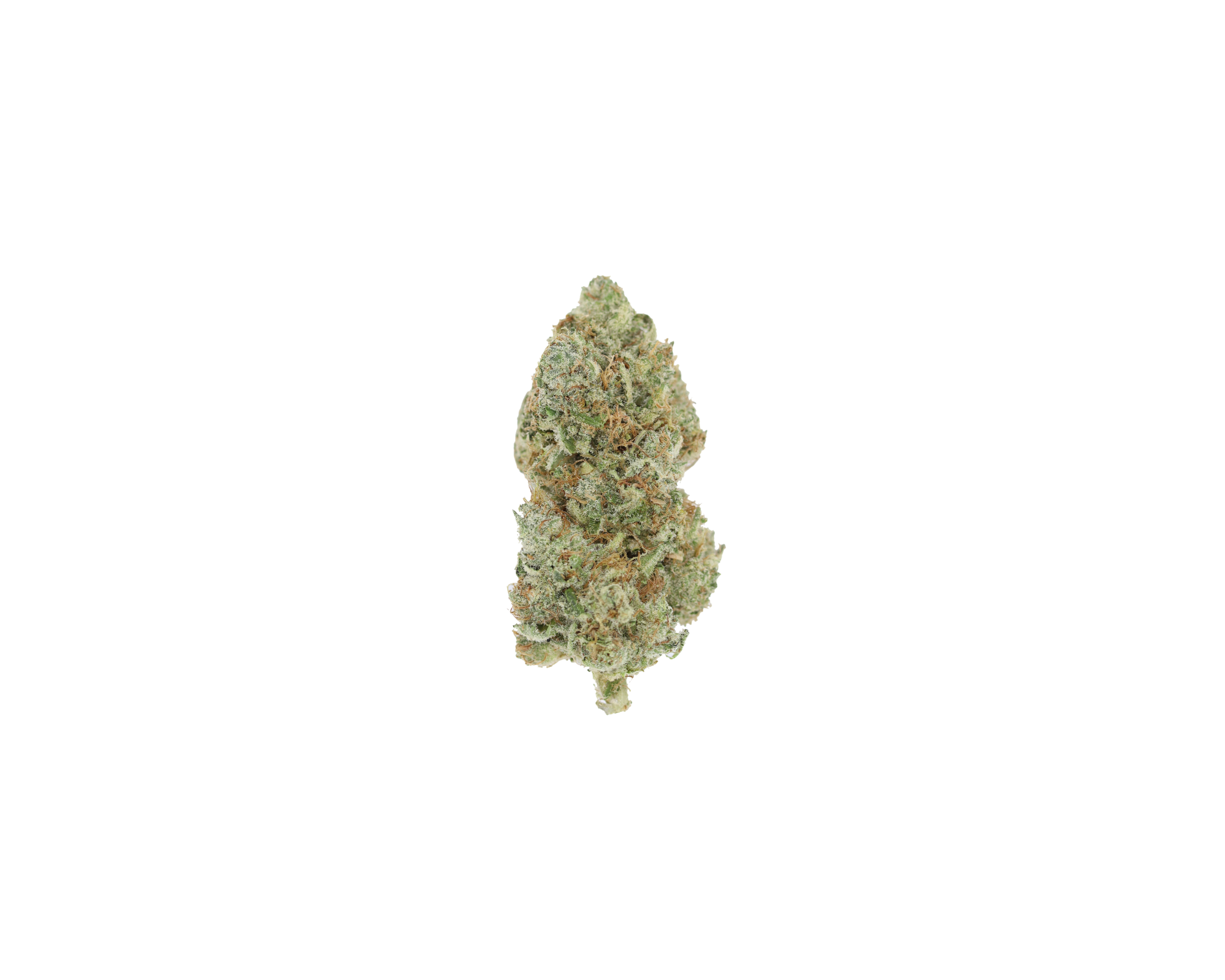 Magnum P.I. Sativa Cannabis Flower Magnum P.I. Sativa Cannabis Flower