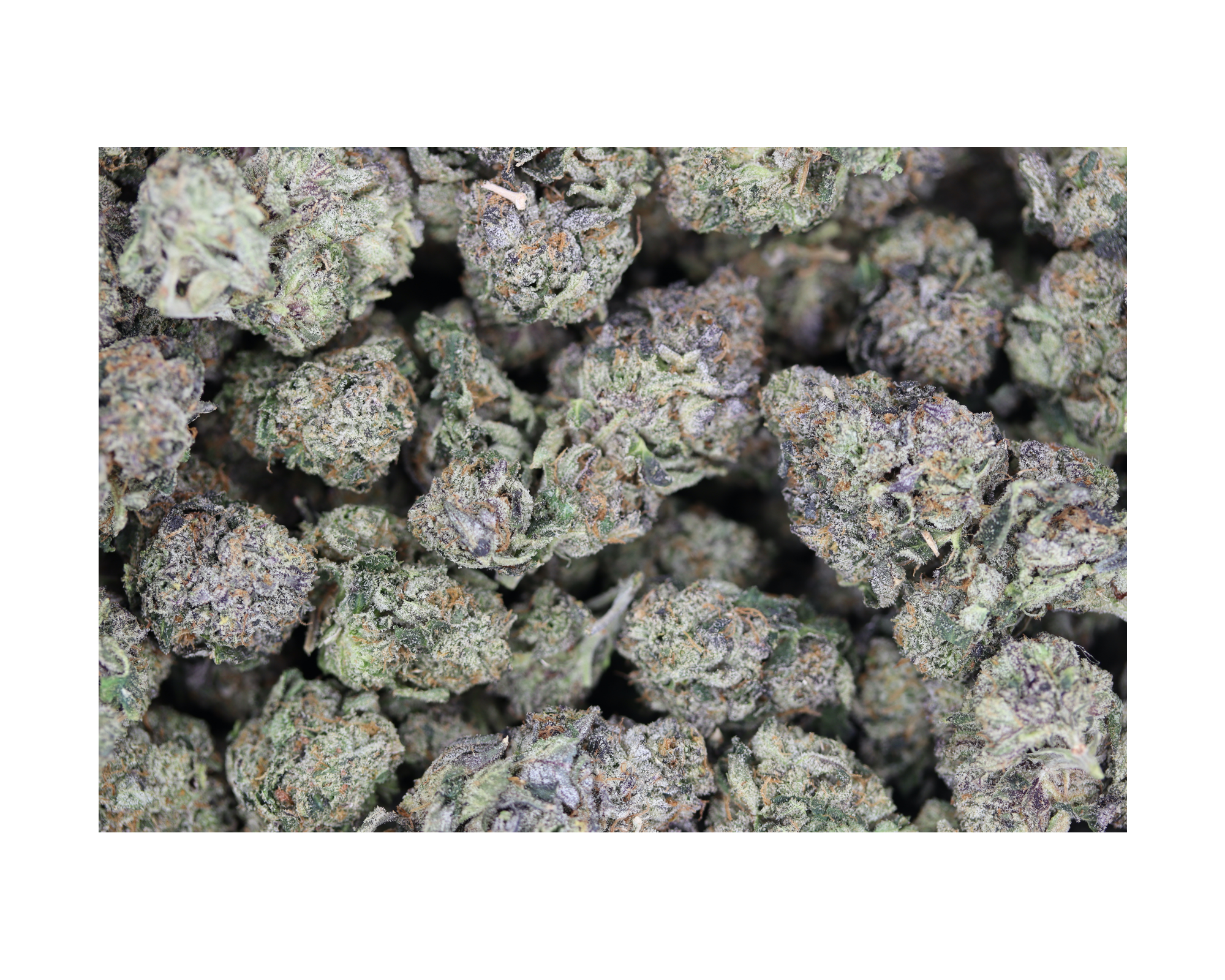 Mendo OG Indica Cannabis Flower Mendo OG Indica Cannabis Flower