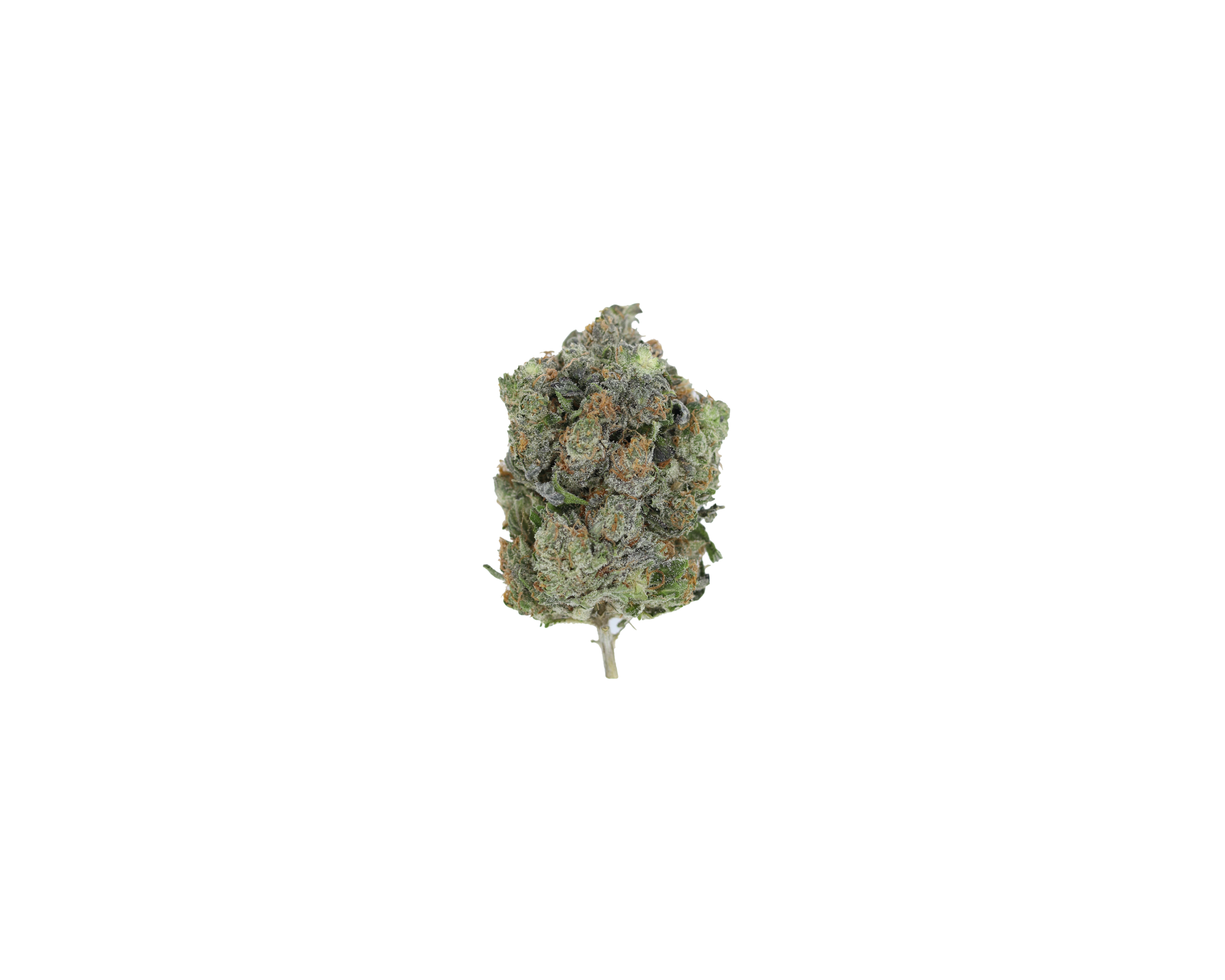 Pink Star Indica Better Sleep Pink Star Indica Better Sleep
