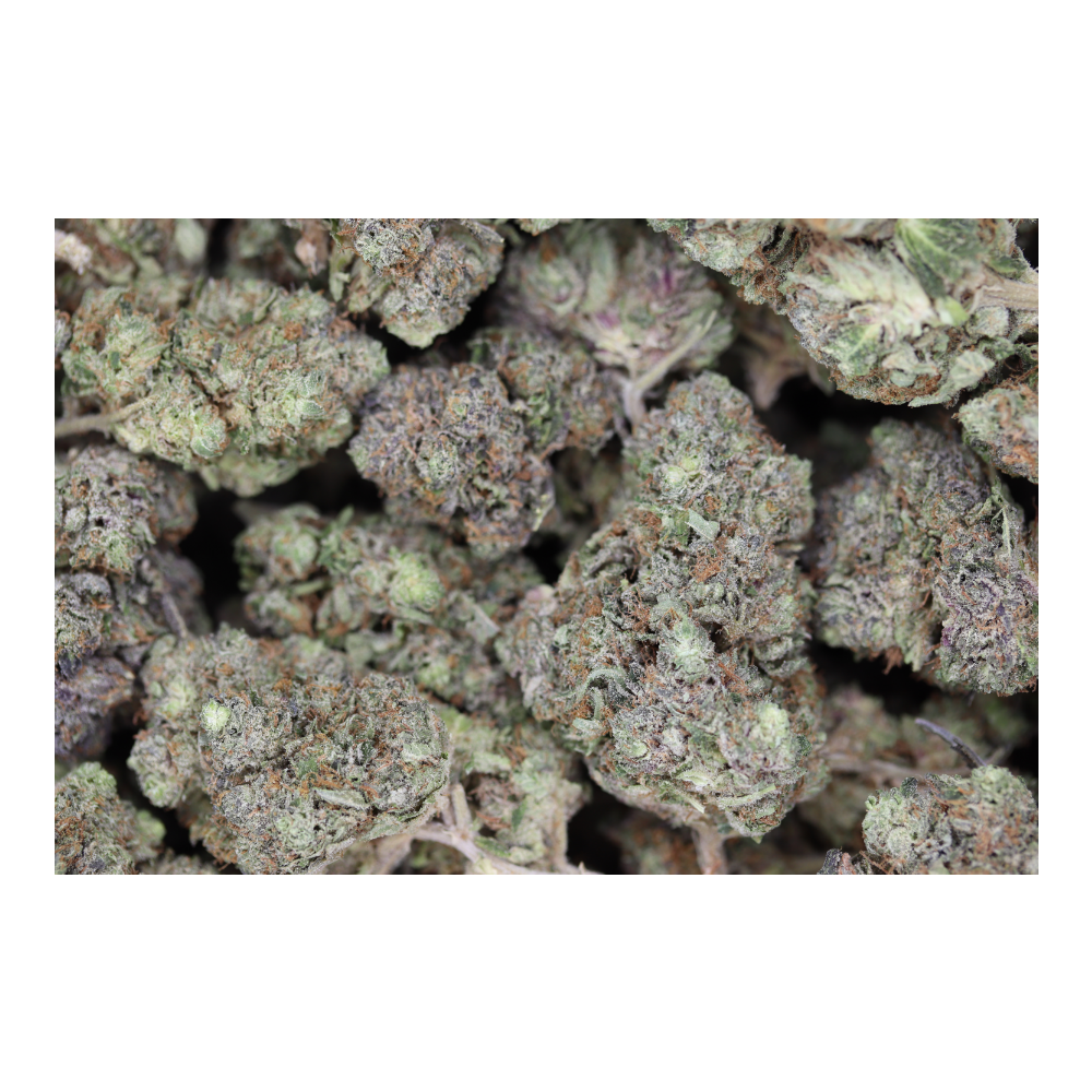 Pre-98 Bubba All Strains Cannabis Flower Pre-98 Bubba All Strains Cannabis Flower