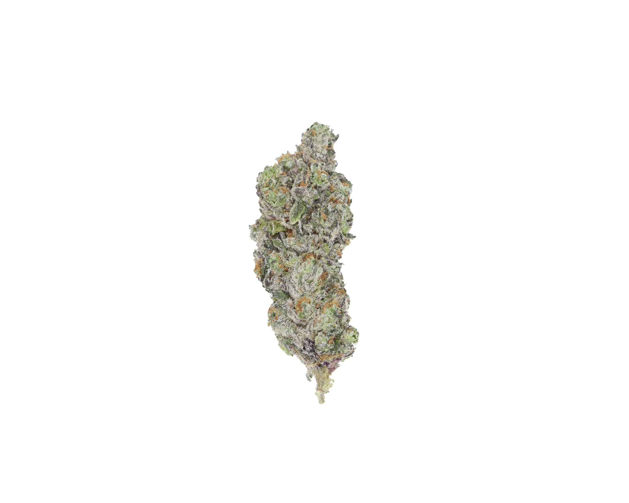 San Fernando Valley OG Indica Better Sleep San Fernando Valley OG Indica Better Sleep