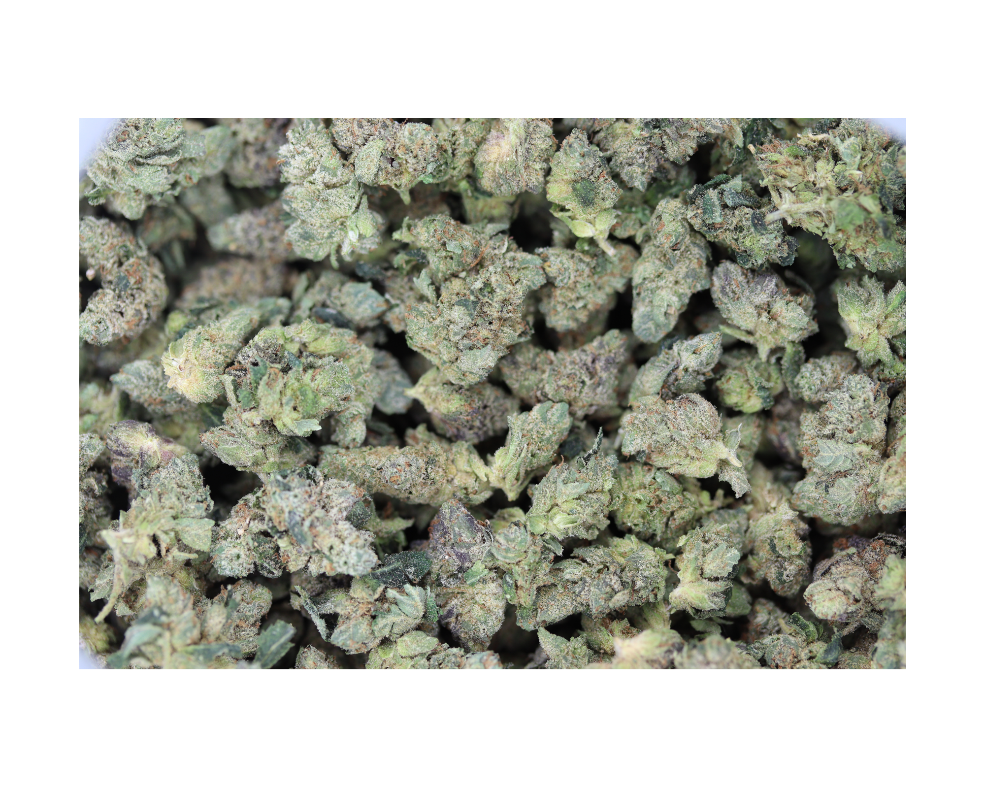 Super Pink Smalls Indica Cannabis Flower Super Pink Smalls Indica Cannabis Flower