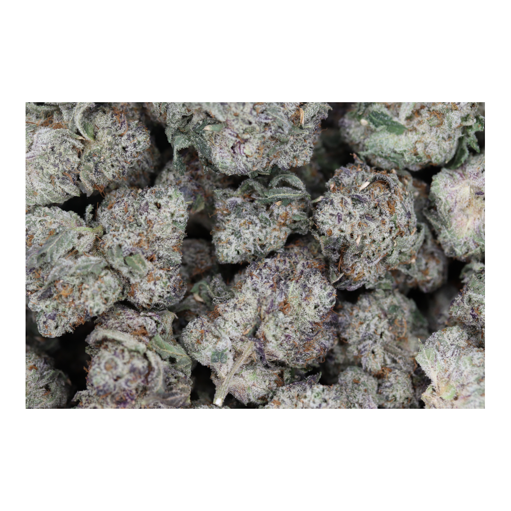 Animal Mints Indica Animal Mints Animal Mints Indica Animal Mints