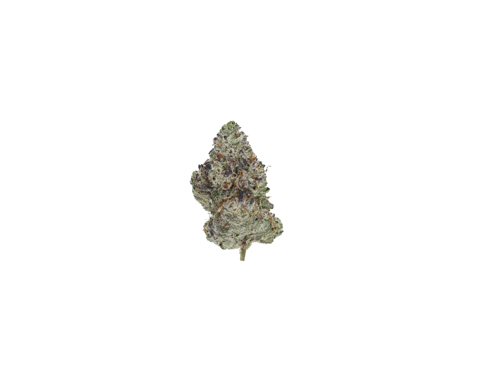 Animal Mints Indica Animal Mints Animal Mints Indica Animal Mints