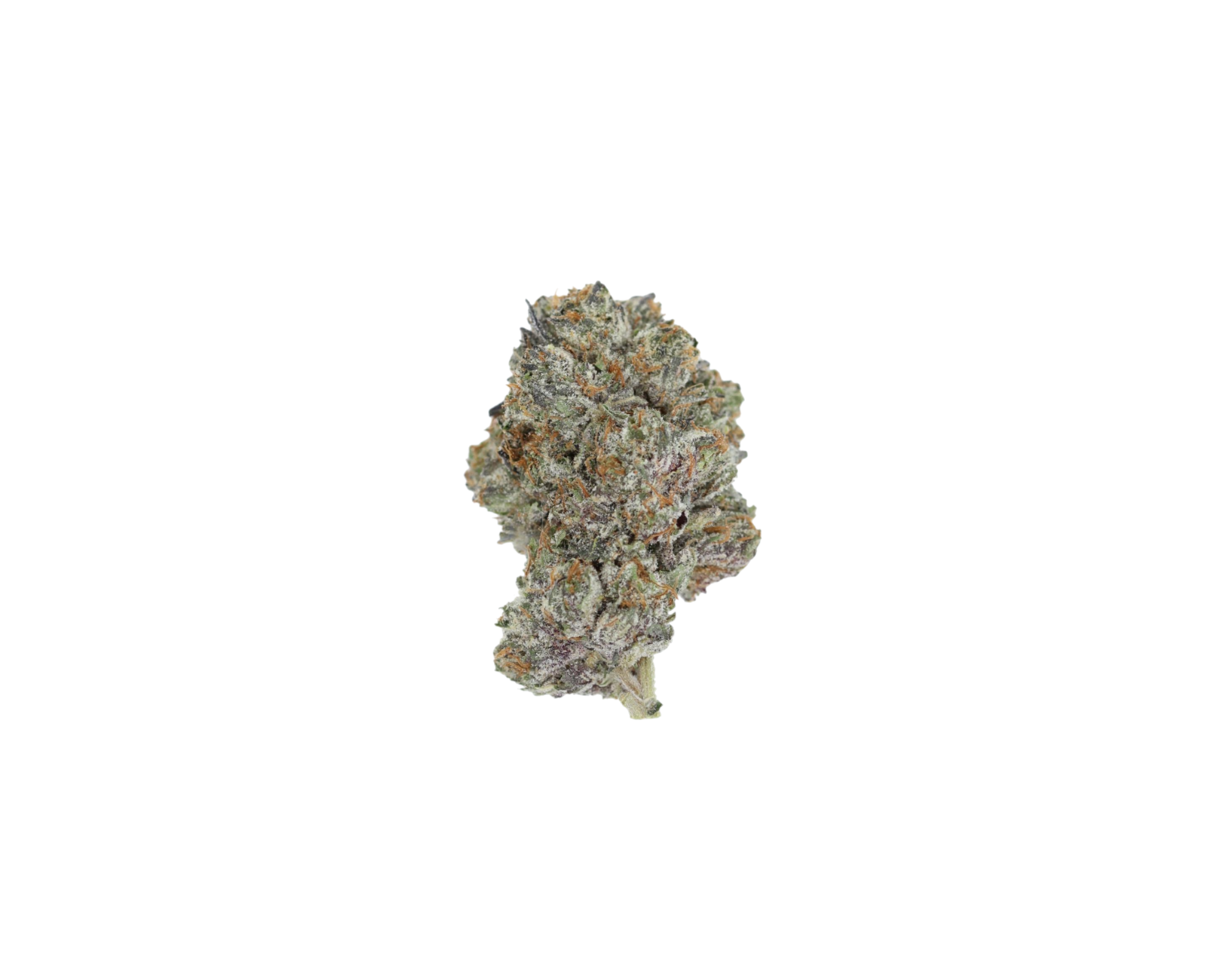 Bubba OG Indica Bubba OG Bubba OG Indica Bubba OG