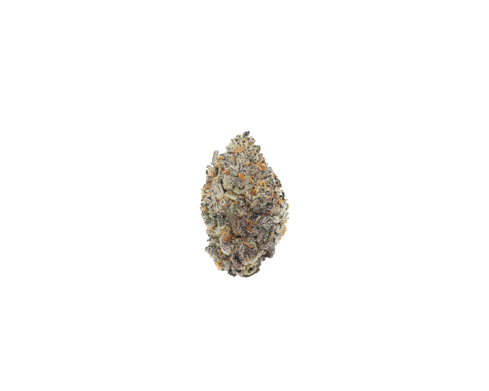 Grape Berry Hybrid anxiety Grape Berry Hybrid anxiety
