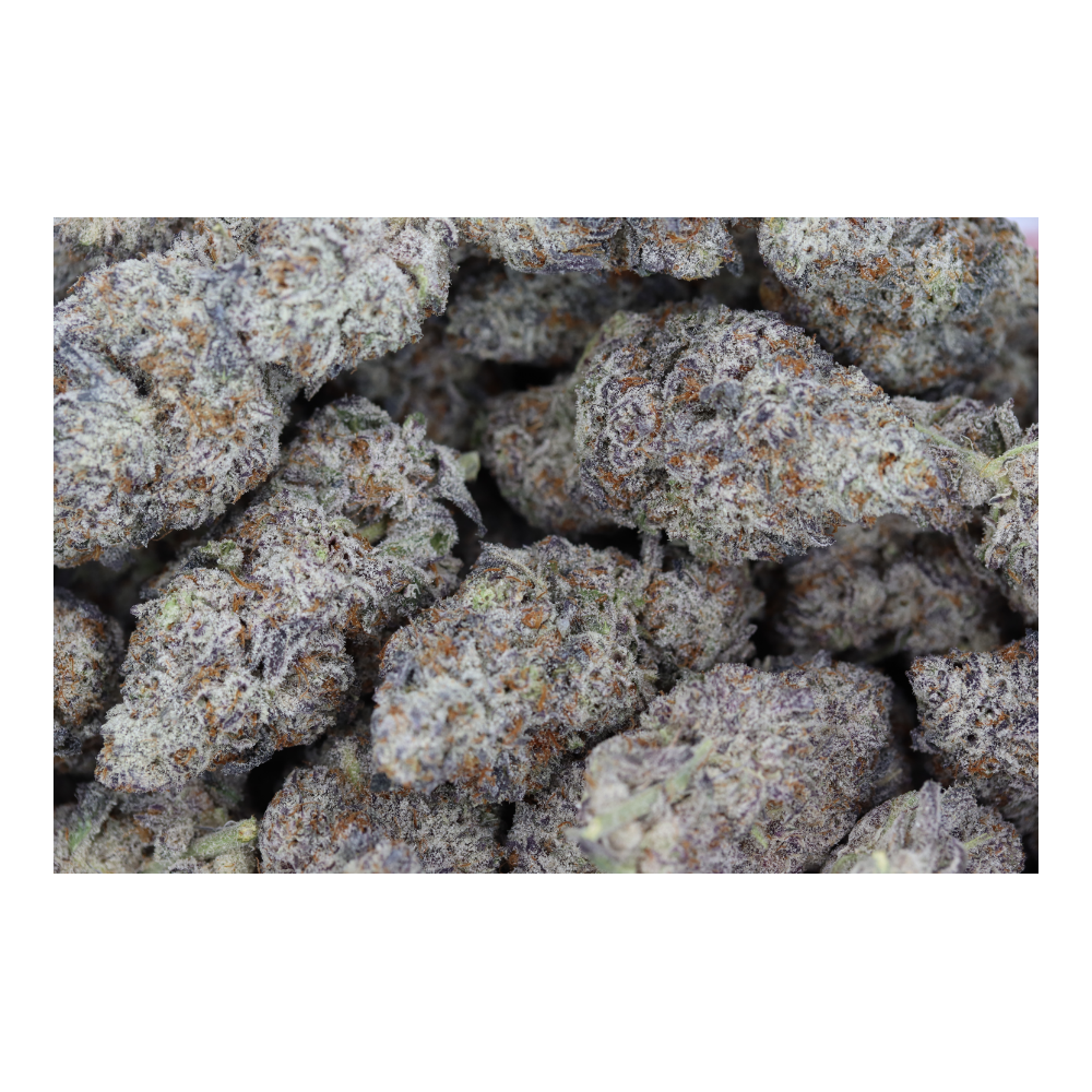 Island Exotics – Black Biscotti Hybrid Cannabis Flower Island Exotics – Black Biscotti Hybrid Cannabis Flower