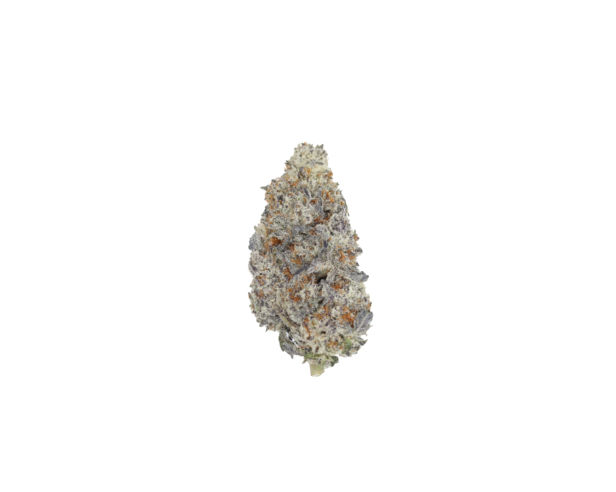 Island Exotics – Black Biscotti Hybrid Cannabis Flower Island Exotics – Black Biscotti Hybrid Cannabis Flower
