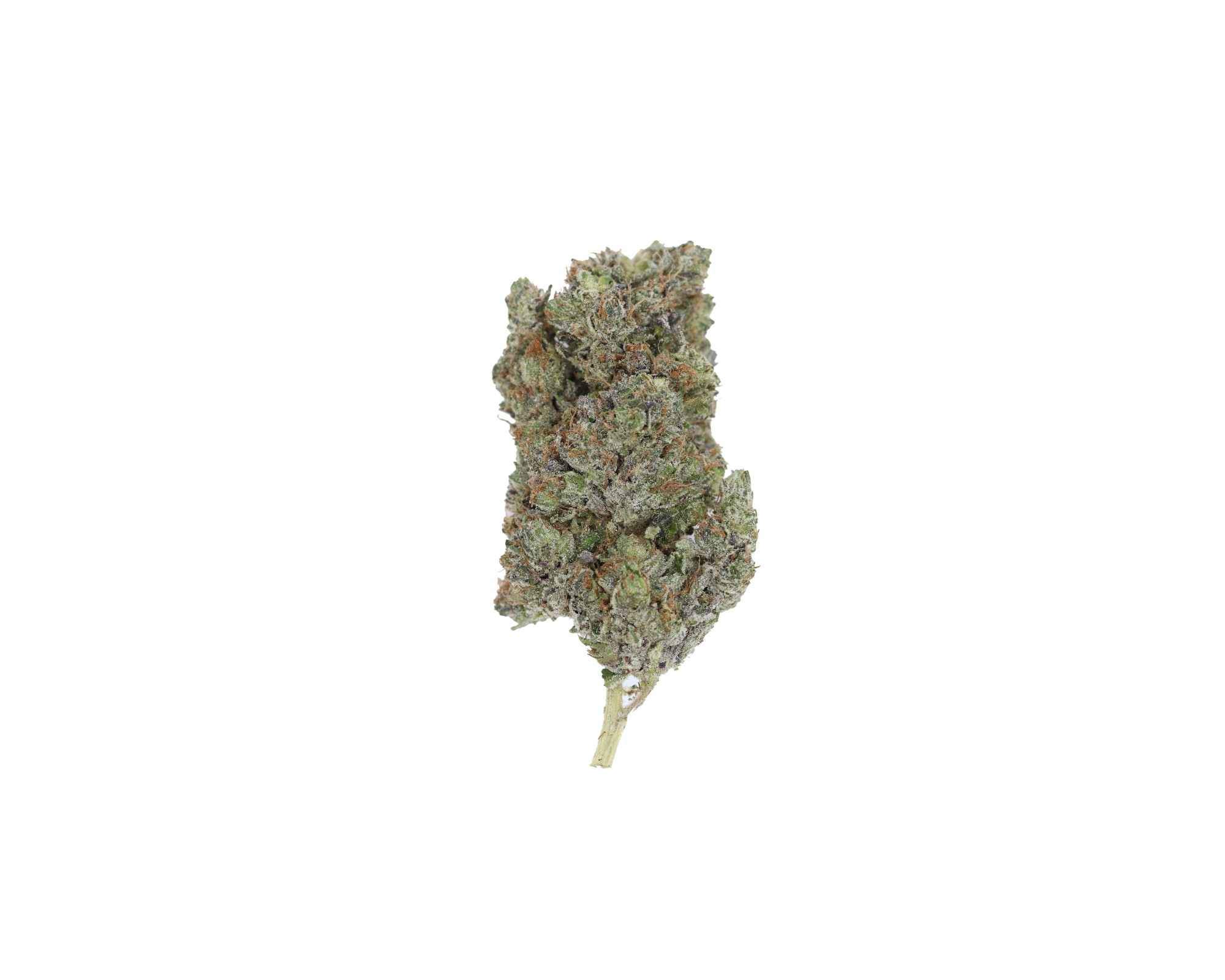 Hindu Kush (1/2lb) Wholesale Flower bulk Hindu Kush (1/2lb) Wholesale Flower bulk