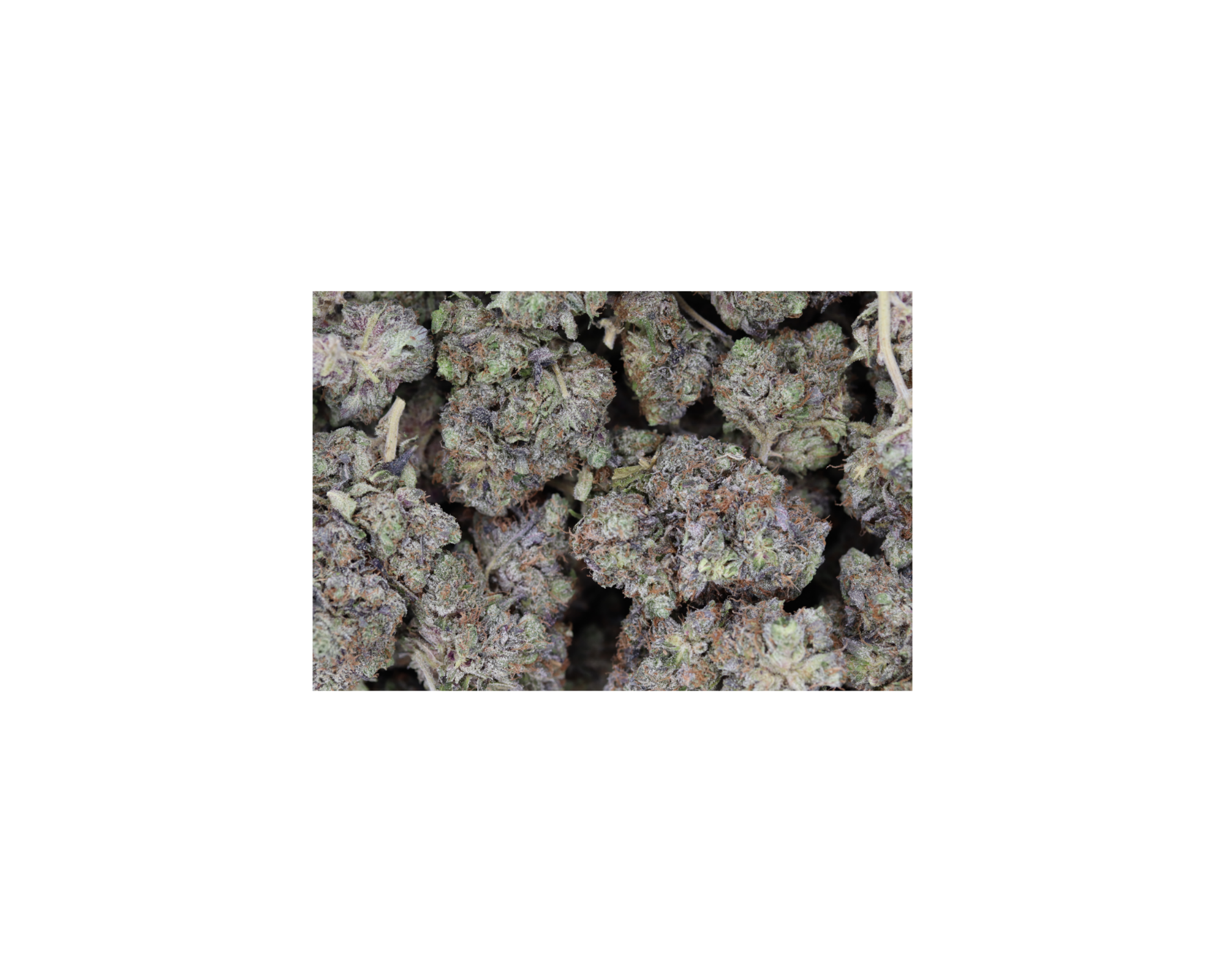 Hindu Kush (1/2lb) Wholesale Flower bulk Hindu Kush (1/2lb) Wholesale Flower bulk