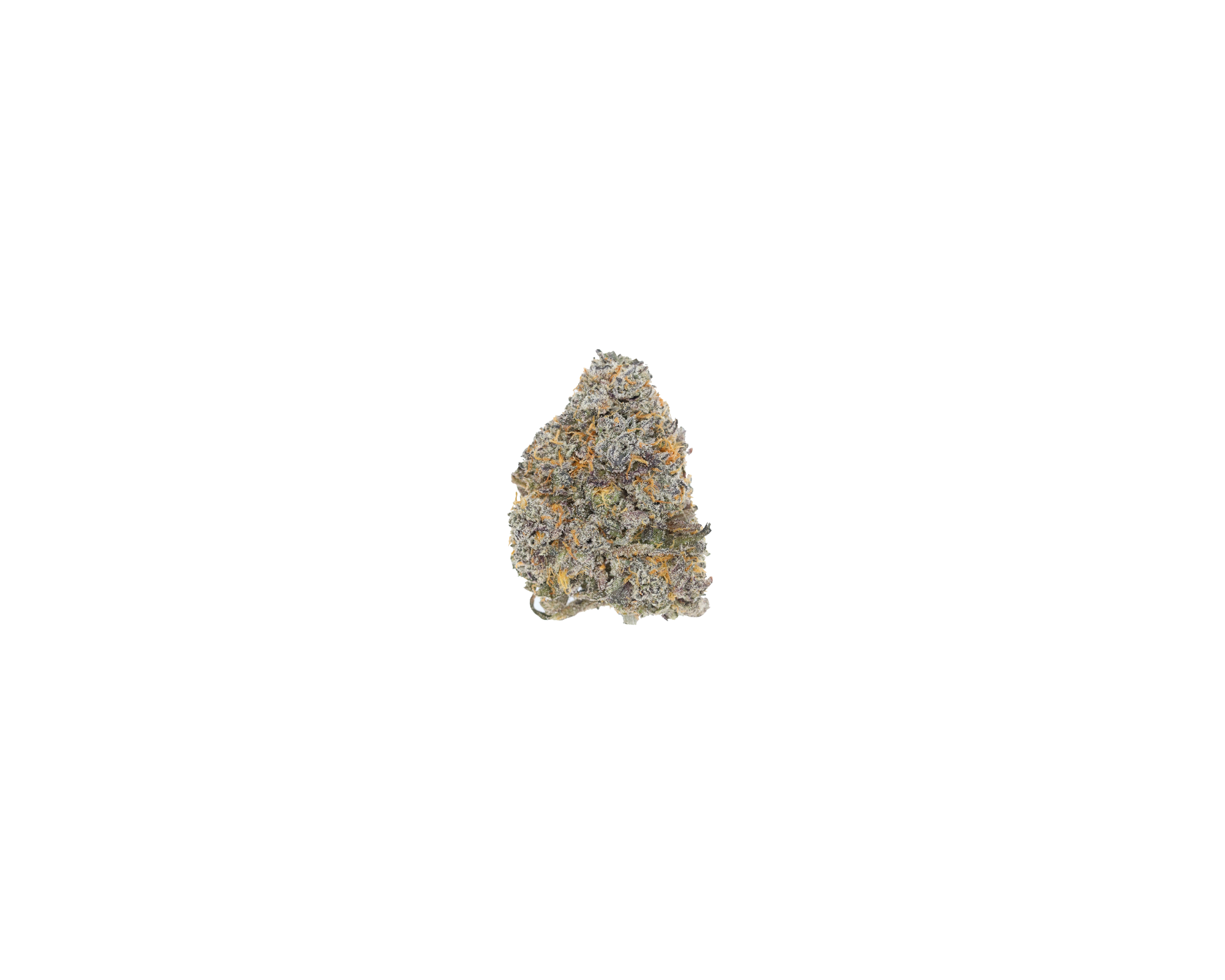 Jelly Runtz Hybrid Cannabis Flower Jelly Runtz Hybrid Cannabis Flower