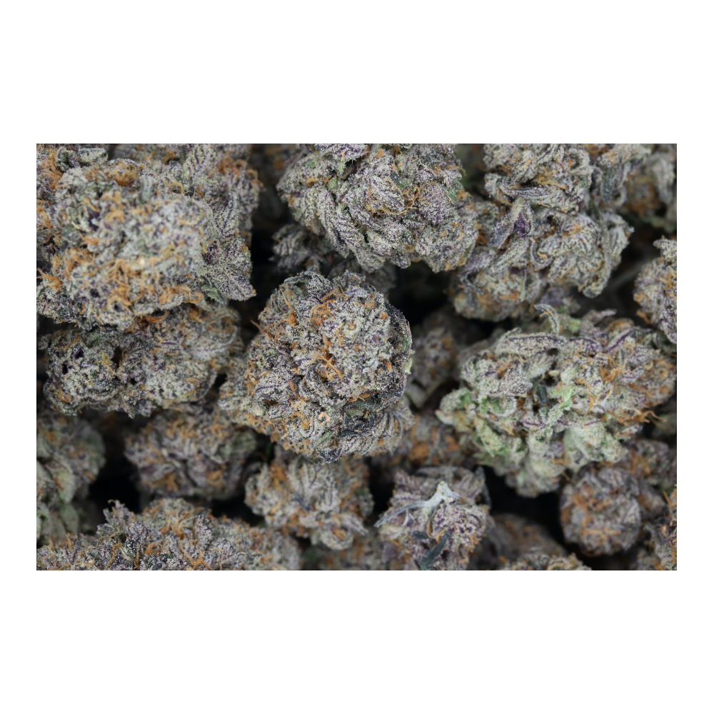 Jelly Runtz Hybrid Cannabis Flower Jelly Runtz Hybrid Cannabis Flower
