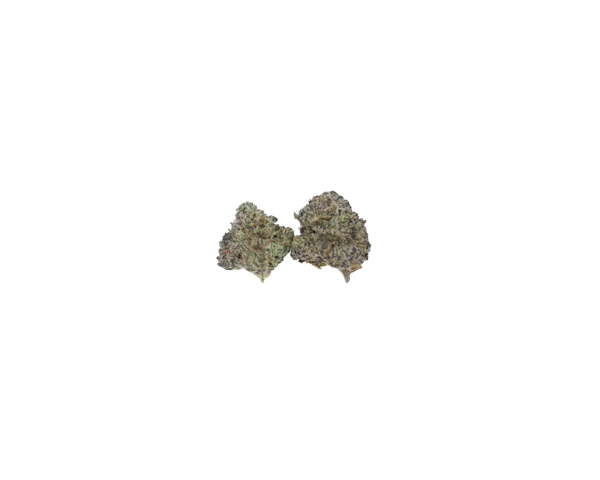Kush Mints Smalls (1/2lb) Wholesale Flower bulk Kush Mints Smalls (1/2lb) Wholesale Flower bulk