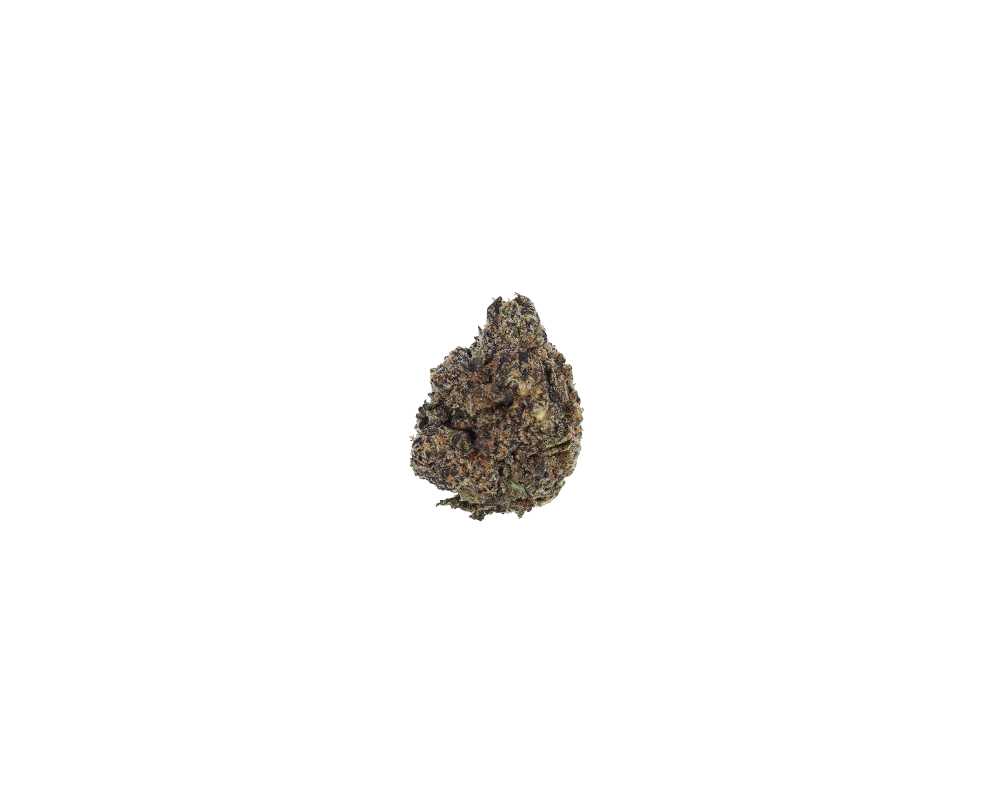 Member Berry Hybrid Berry Member Berry Hybrid Berry