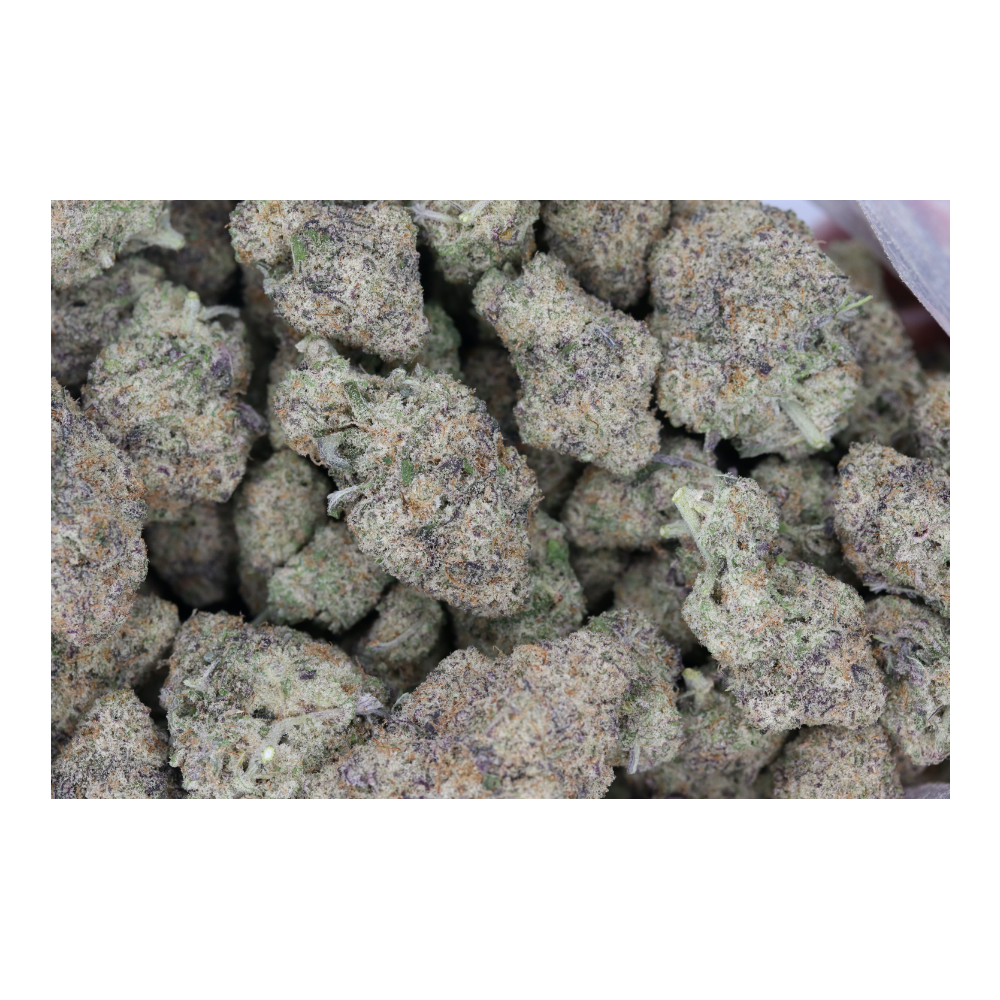 Mimosa (1/2lb) Wholesale Flower bulk Mimosa (1/2lb) Wholesale Flower bulk