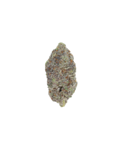 Black Sherbet All Strains Black Sherbet Black Sherbet All Strains Black Sherbet