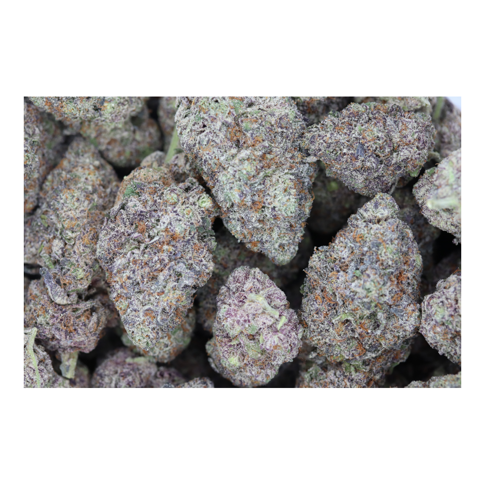 Pie Cake (Bulk) Wholesale Flower bulk Pie Cake (Bulk) Wholesale Flower bulk