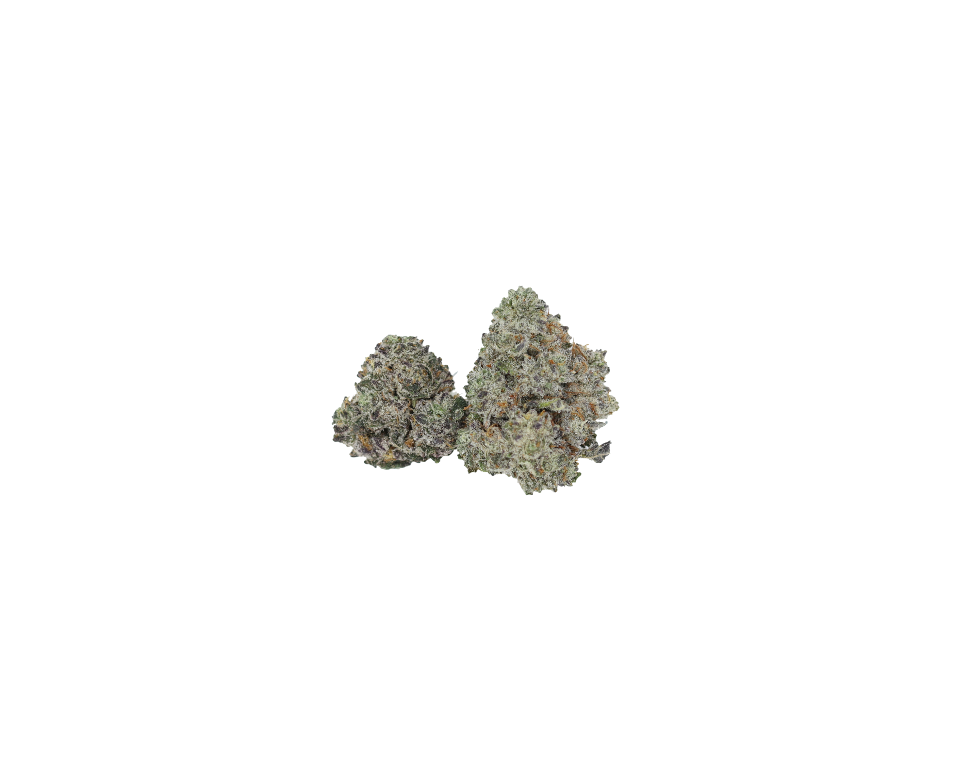Platinum Pink Smalls (1/2lb) Wholesale Flower Black Licorice Platinum Pink Smalls (1/2lb) Wholesale Flower Black Licorice
