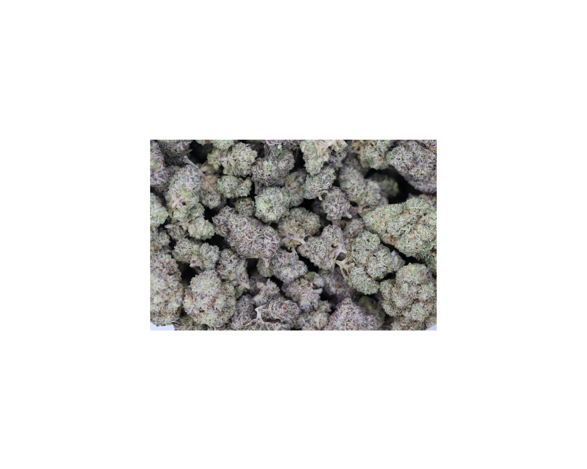 Platinum Pink Smalls (1/2lb) Wholesale Flower Black Licorice Platinum Pink Smalls (1/2lb) Wholesale Flower Black Licorice