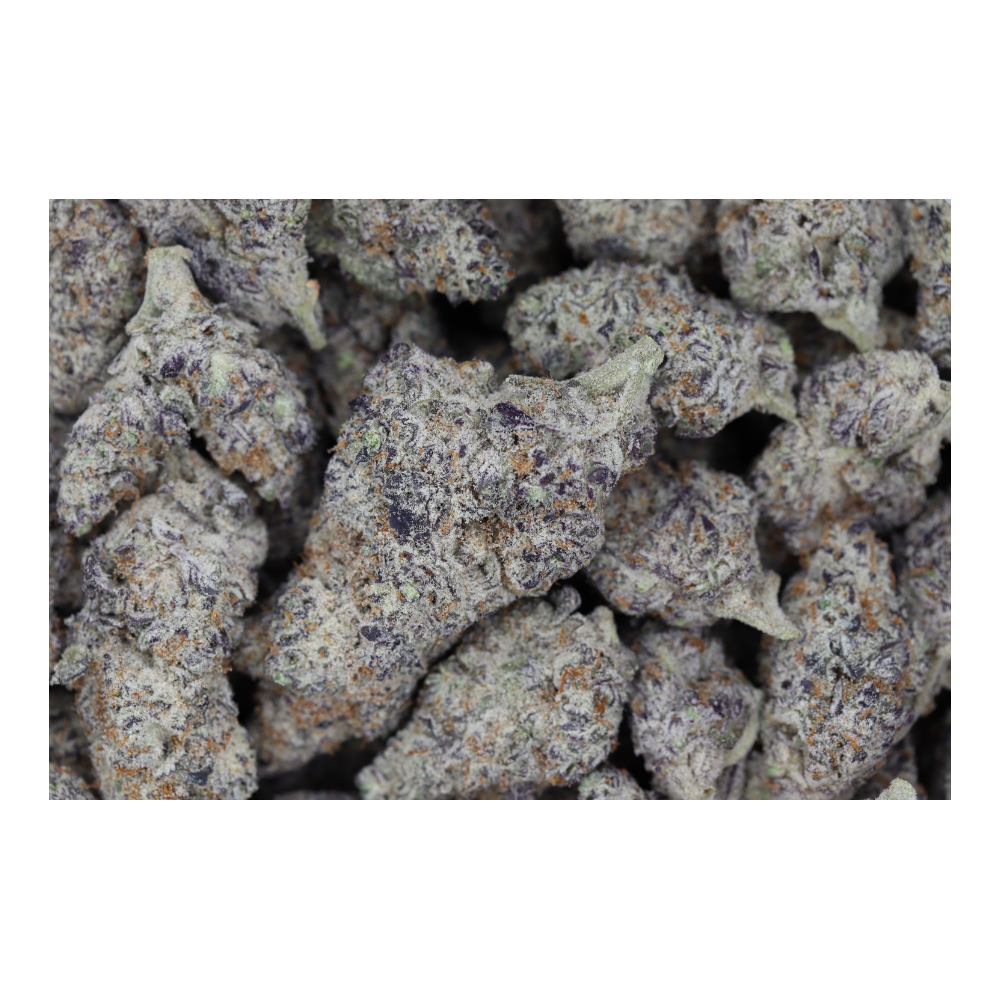 Purple Space Cookies (1/2lb) Wholesale Flower anxiety Purple Space Cookies (1/2lb) Wholesale Flower anxiety