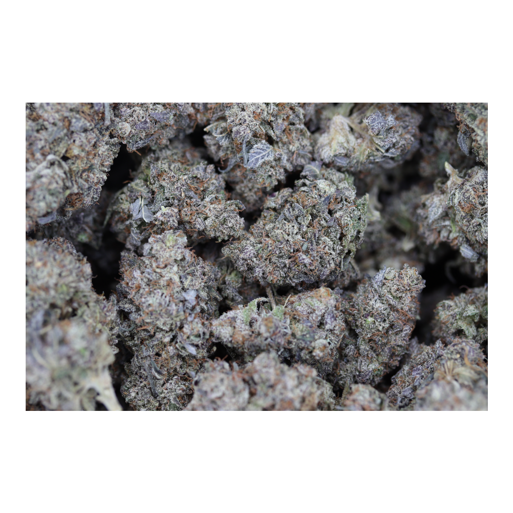 Biscotti Sherbet (1/2lb) Wholesale Flower Biscotti Sherbet Biscotti Sherbet (1/2lb) Wholesale Flower Biscotti Sherbet