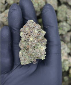 Cherry Blasters (1/2lb) Wholesale Flower bulk