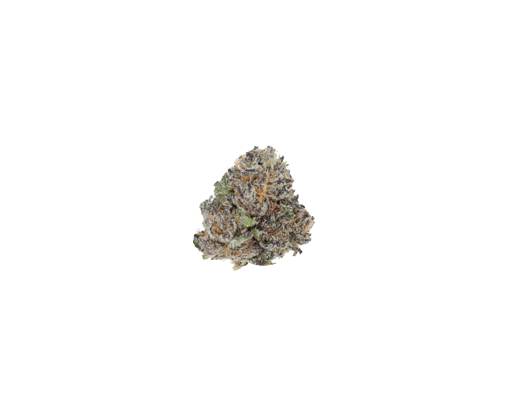 Licorice Rockstar Indica Bitter Licorice Rockstar Indica Bitter