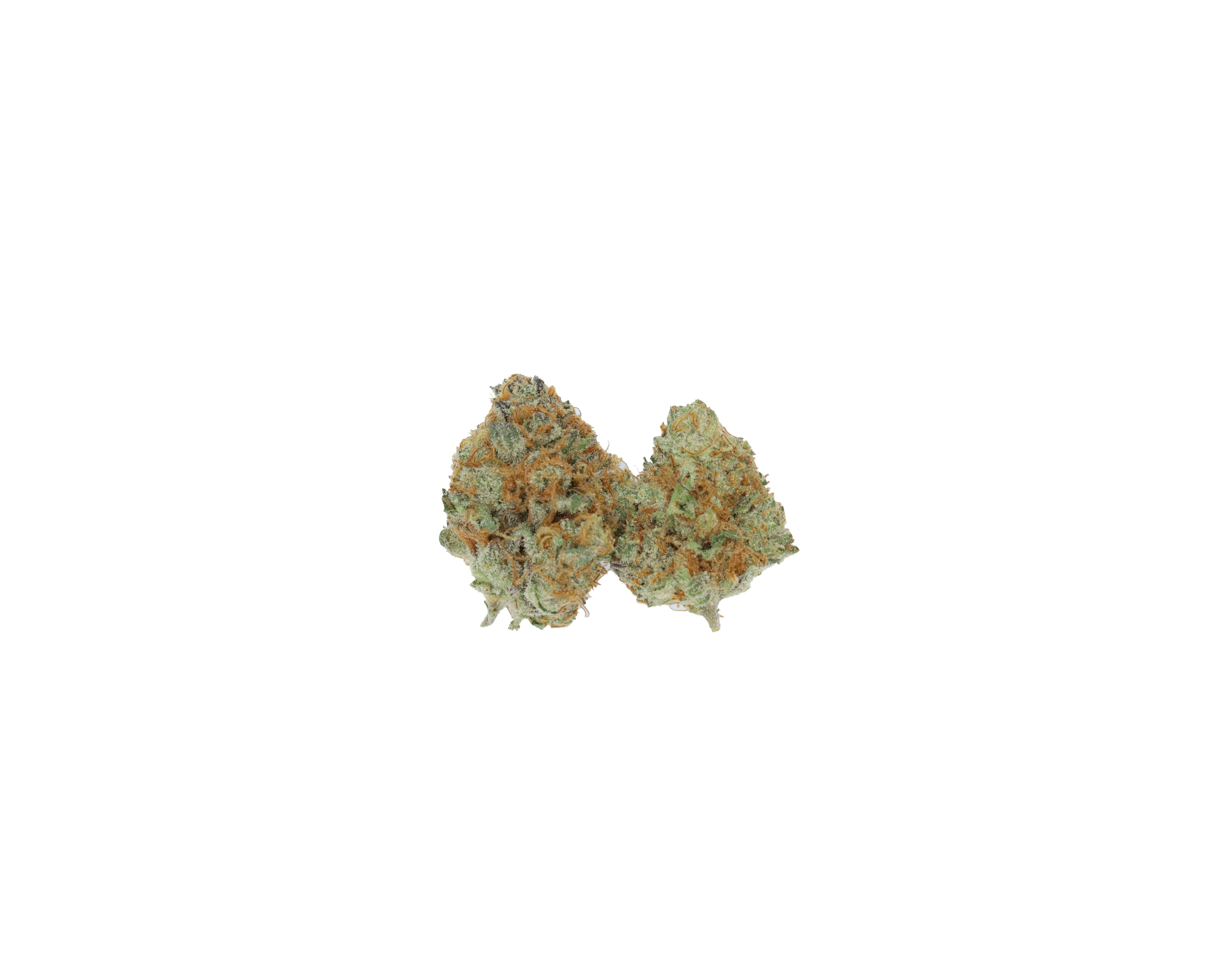 Pineapple Jager Smalls (1/2lb) Wholesale Flower anxiety Pineapple Jager Smalls (1/2lb) Wholesale Flower anxiety