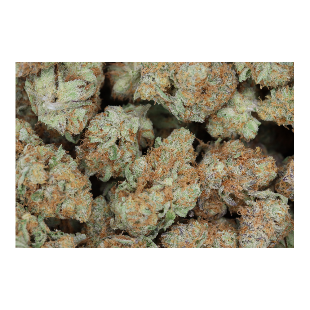 Pineapple Jager Smalls (1/2lb) Wholesale Flower anxiety Pineapple Jager Smalls (1/2lb) Wholesale Flower anxiety
