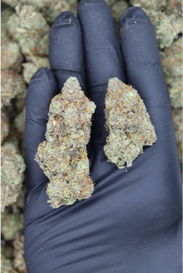 Cherry Bomb All Strains Cannabis Flower Cherry Bomb All Strains Cannabis Flower
