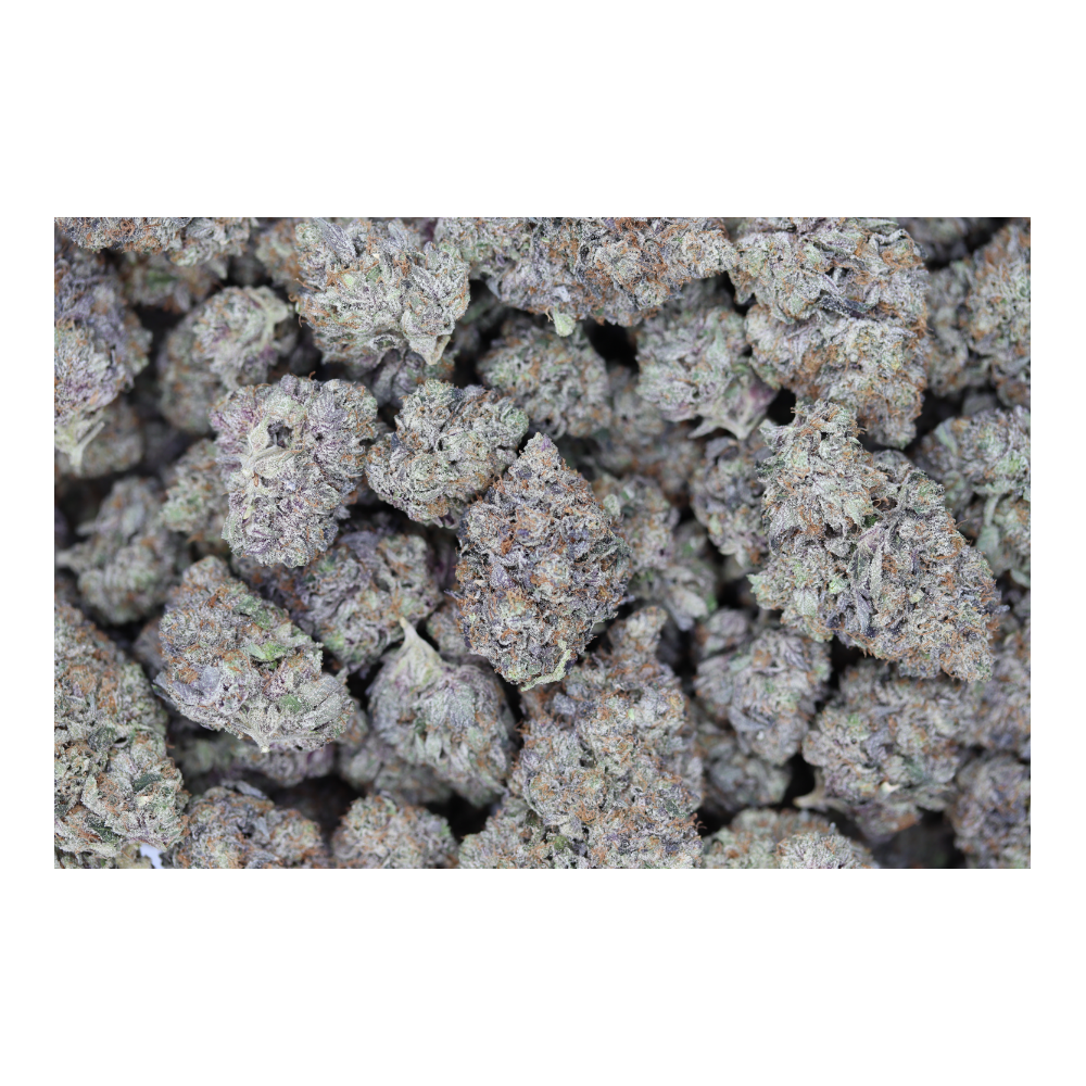 Gas Militia – El Muerte (1/2lb) Wholesale Flower bulk Gas Militia – El Muerte (1/2lb) Wholesale Flower bulk