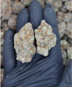 Maui Sunrise All Strains Cannabis Flower Maui Sunrise All Strains Cannabis Flower