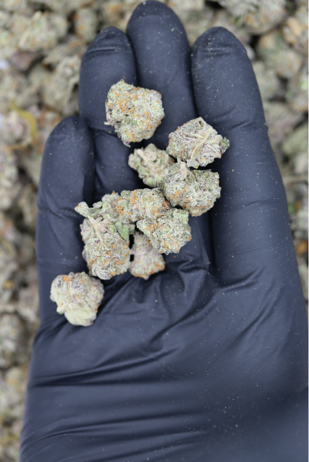 Ice Wine Smalls All Strains balance Ice Wine Smalls All Strains balance