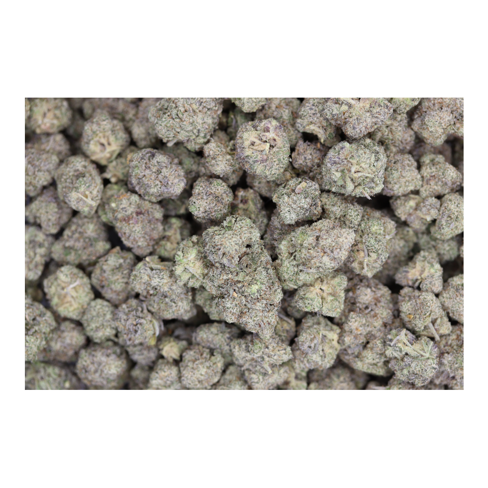Pablo’s Revenge All Strains Cannabis Flower Pablo’s Revenge All Strains Cannabis Flower