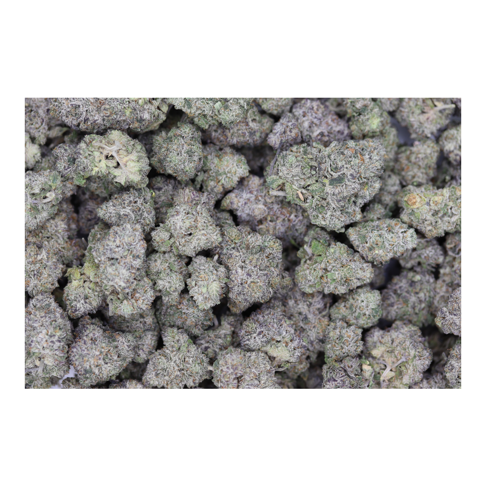 Petroleum Biscotti (1/2lb) Wholesale Flower bulk Petroleum Biscotti (1/2lb) Wholesale Flower bulk