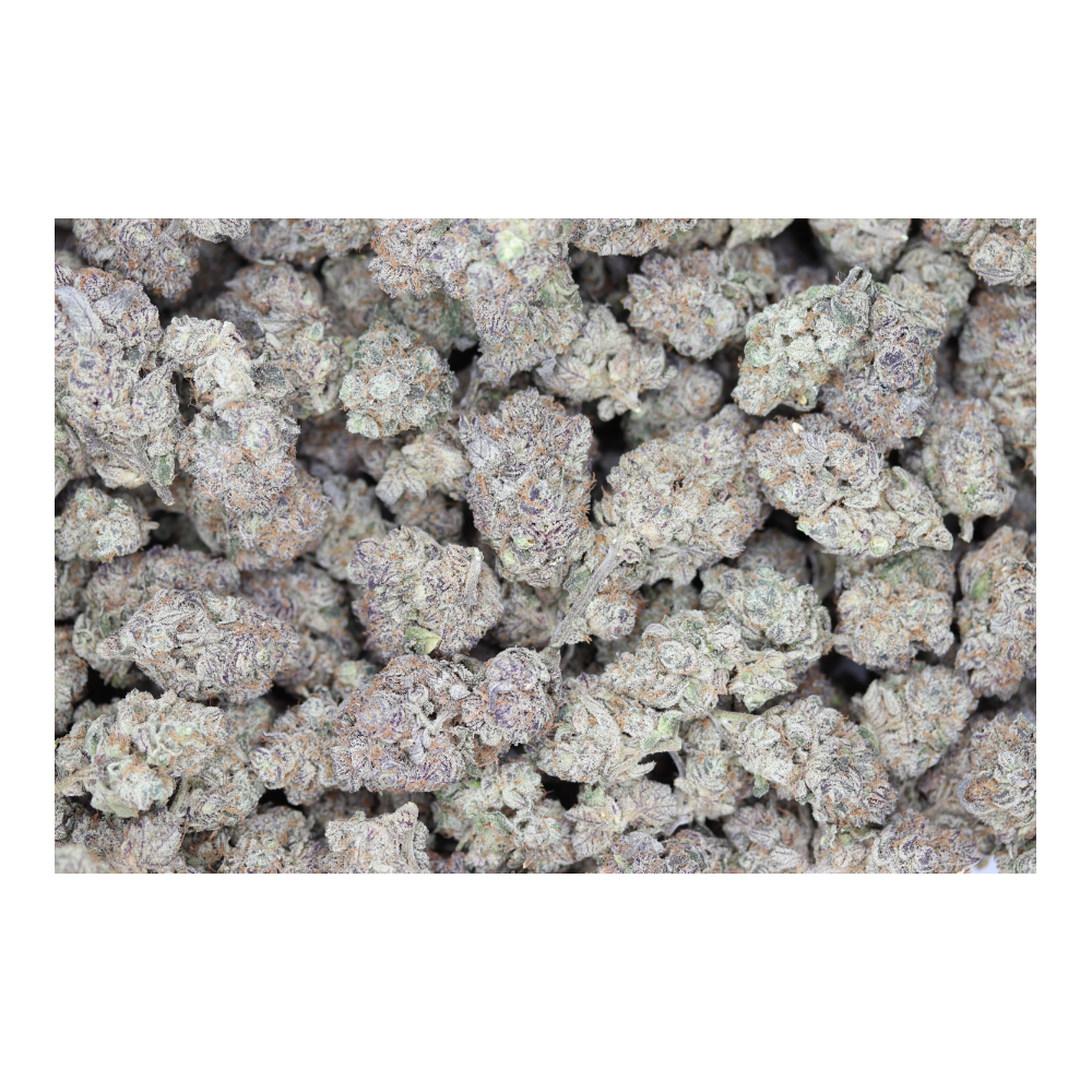 Purple Coma (1/2lb) Wholesale Flower balance Purple Coma (1/2lb) Wholesale Flower balance