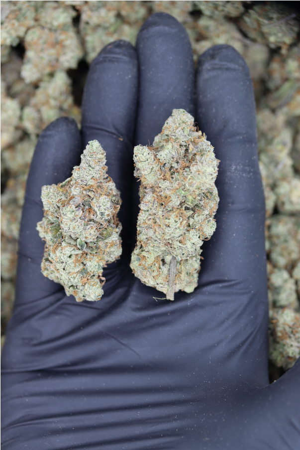Viper All Strains Cannabis Flower Viper All Strains Cannabis Flower