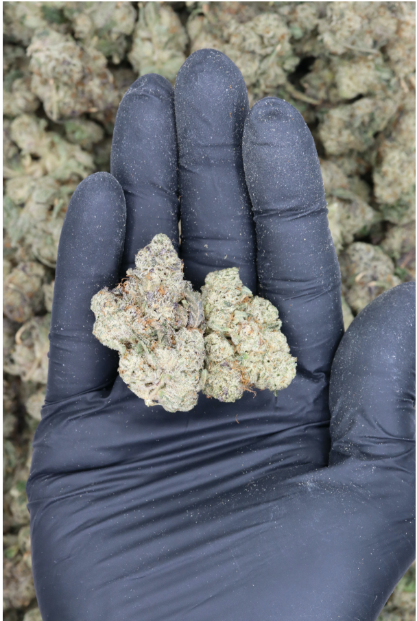 Bread n Butter All Strains Bread n Butter Bread n Butter All Strains Bread n Butter