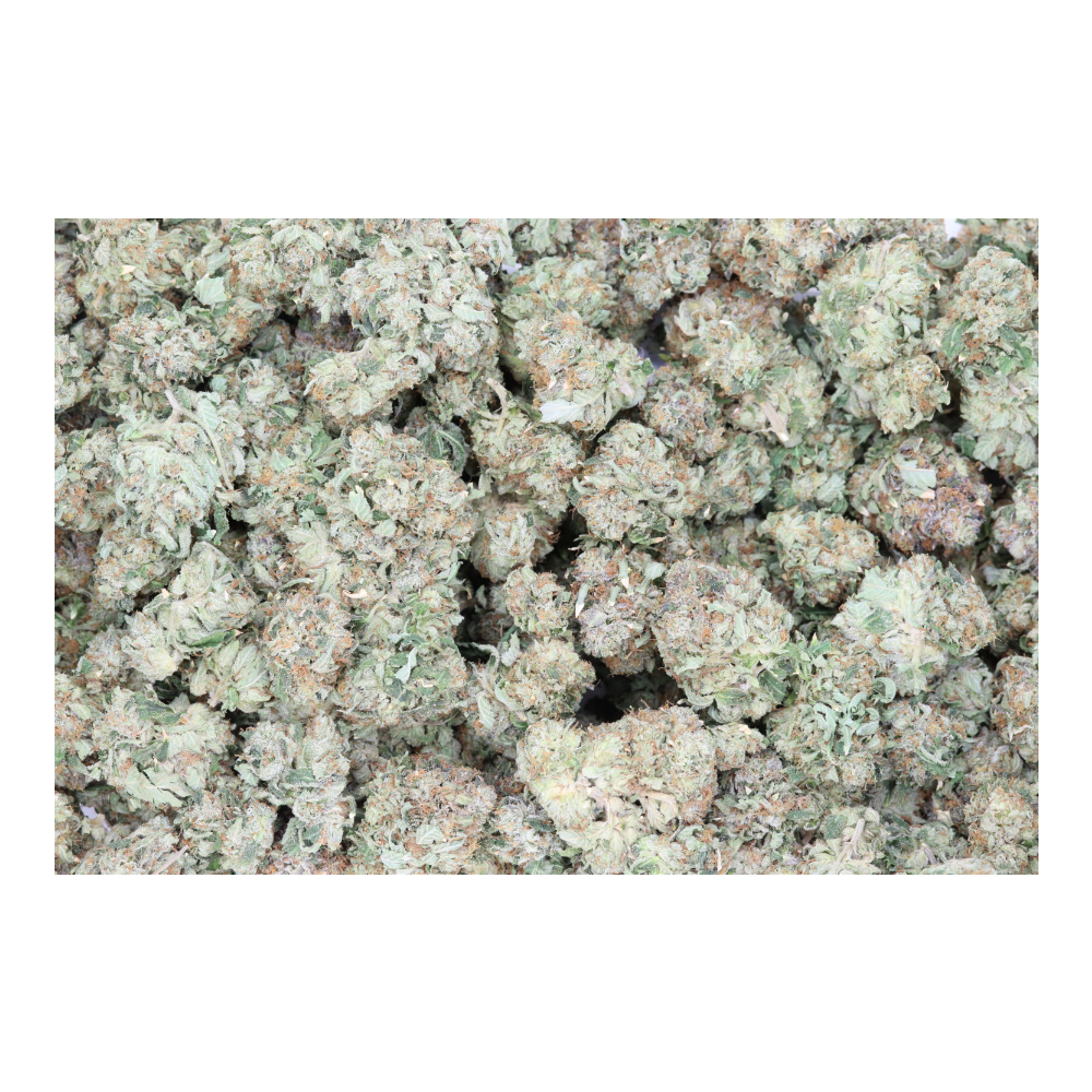 Big Bud All Strains Big Bud Big Bud All Strains Big Bud