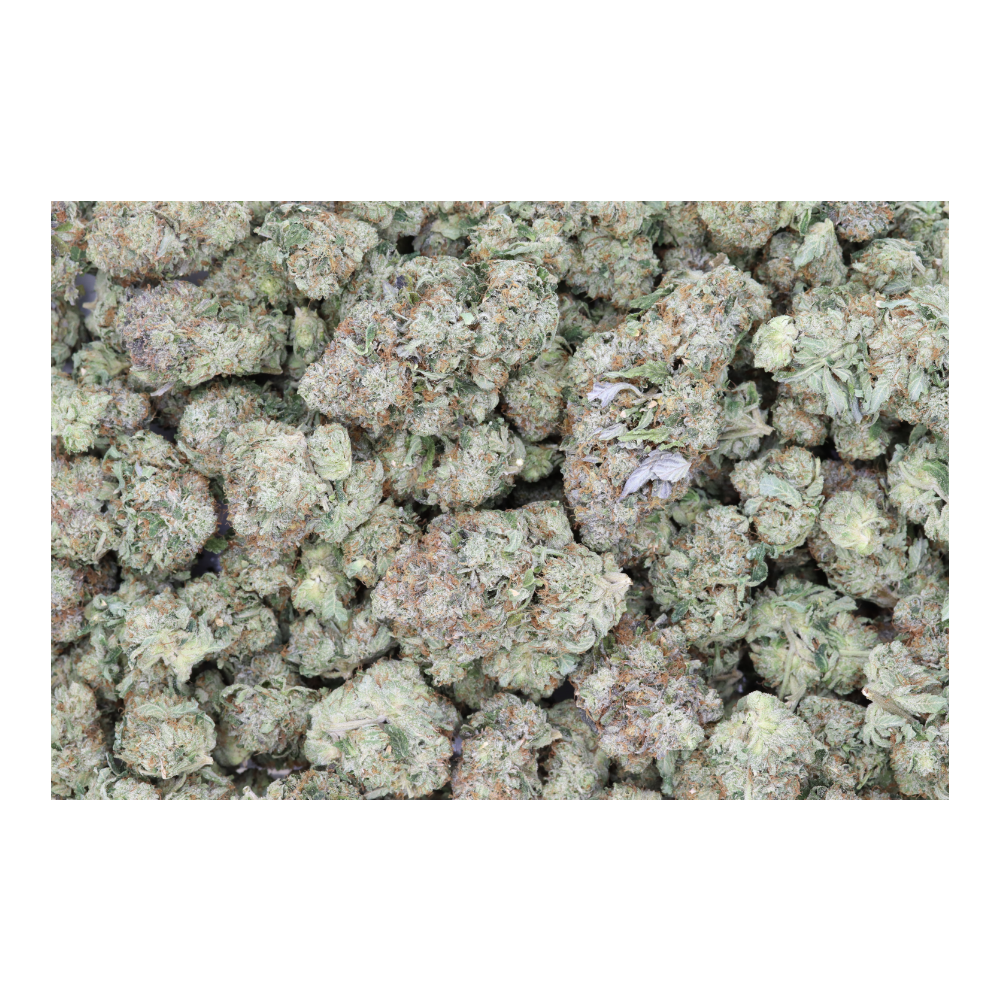 Bubba Banger (1/2lb) Wholesale Flower Bubba Banger Bubba Banger (1/2lb) Wholesale Flower Bubba Banger