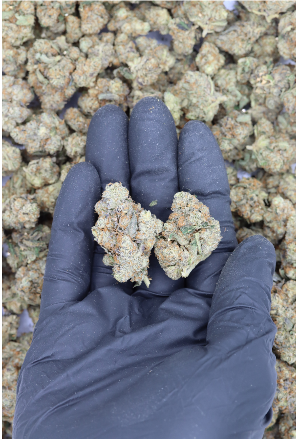 Chemo All Strains Cannabis Flower Chemo All Strains Cannabis Flower