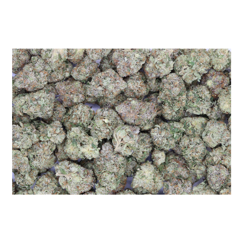El Chapo (1/2lb) Wholesale Flower Cannabis Flower El Chapo (1/2lb) Wholesale Flower Cannabis Flower