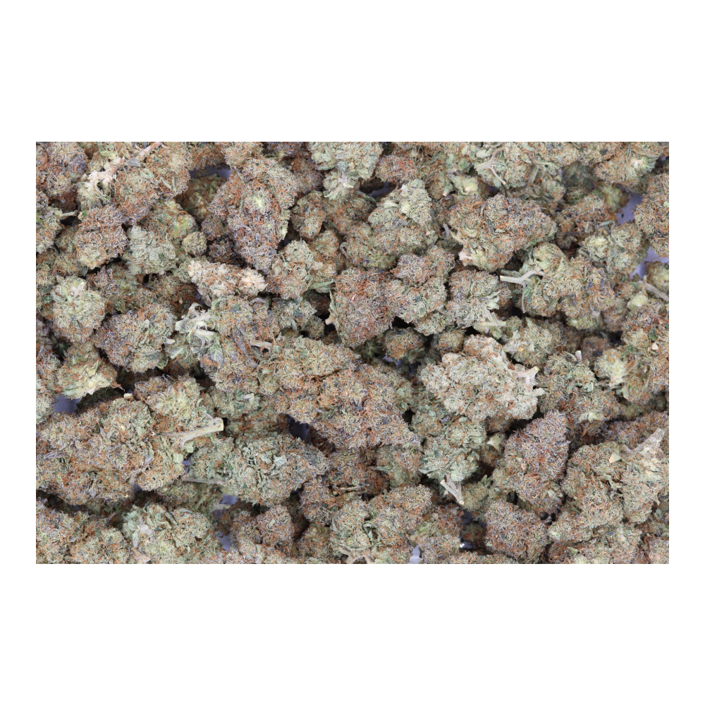 G13 Hash Plant All Strains Cannabis Flower G13 Hash Plant All Strains Cannabis Flower